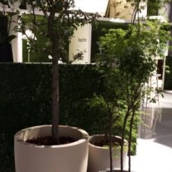 Serralunga Contract & Garden Pots Cup