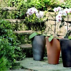 Serralunga Liscio Siena