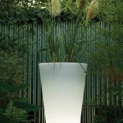 Serralunga Liscio Siena With Light