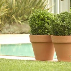 Serralunga Bordato Liscio