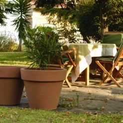 Serralunga Bordato Liscio