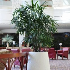 Serralunga Memory Pot Contract & Garden Pots