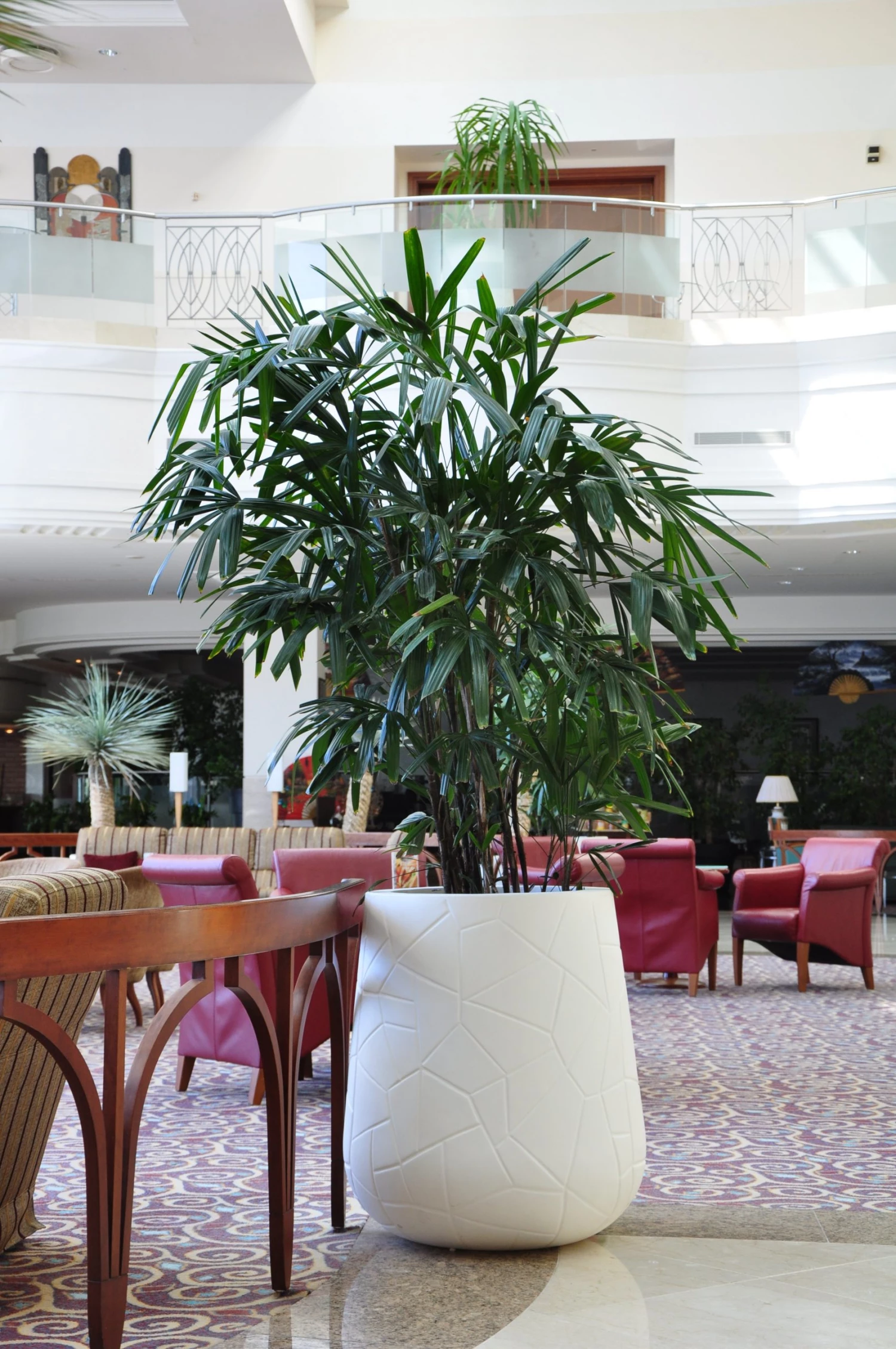 Serralunga Memory Pot Contract & Garden Pots