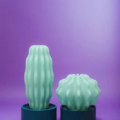 Serralunga Cactus Long With Light Gifts