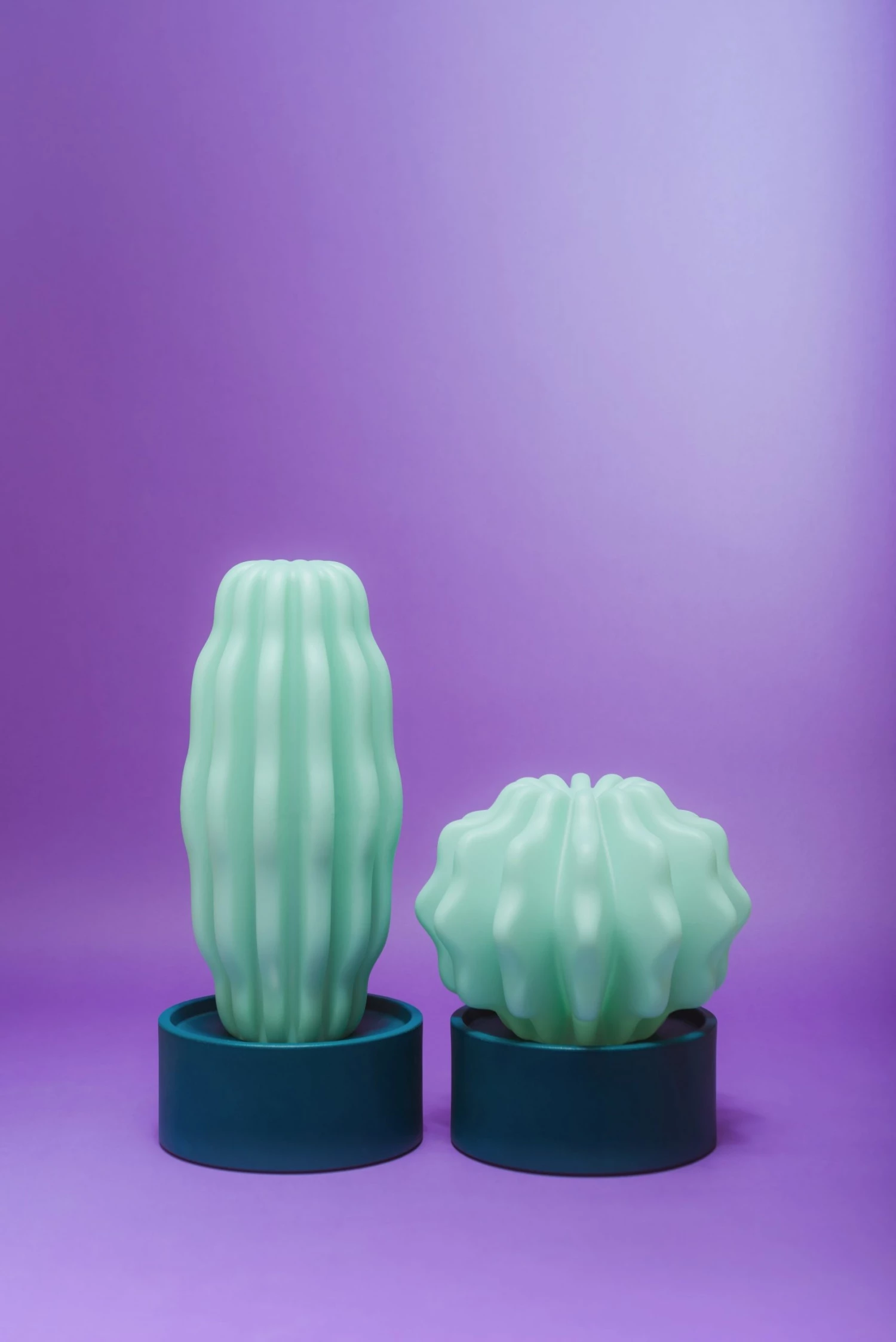 Serralunga Cactus Large With Light Gifts