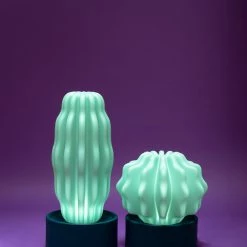 Serralunga Cactus Large With Light Gifts