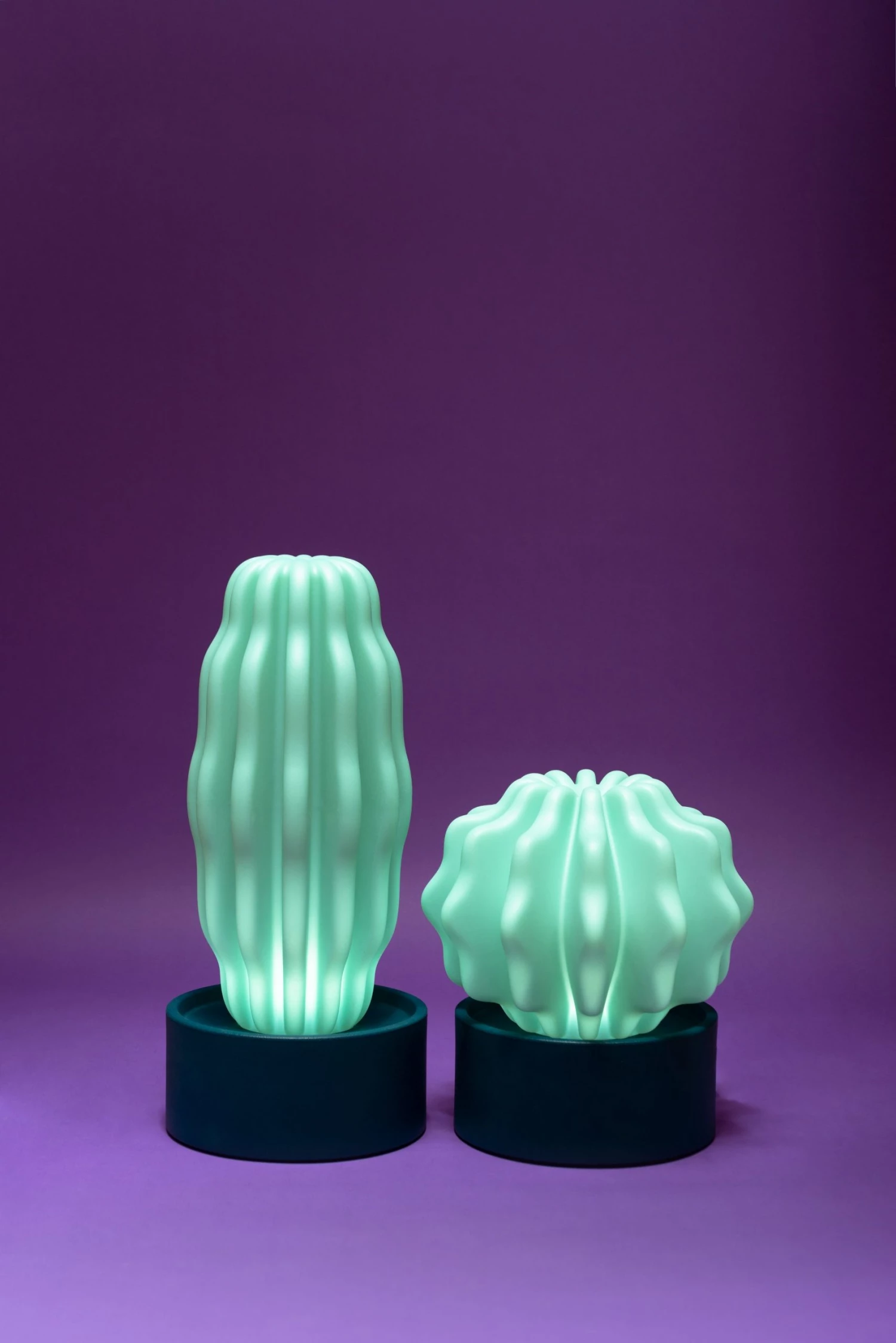 Serralunga Cactus Large With Light Gifts