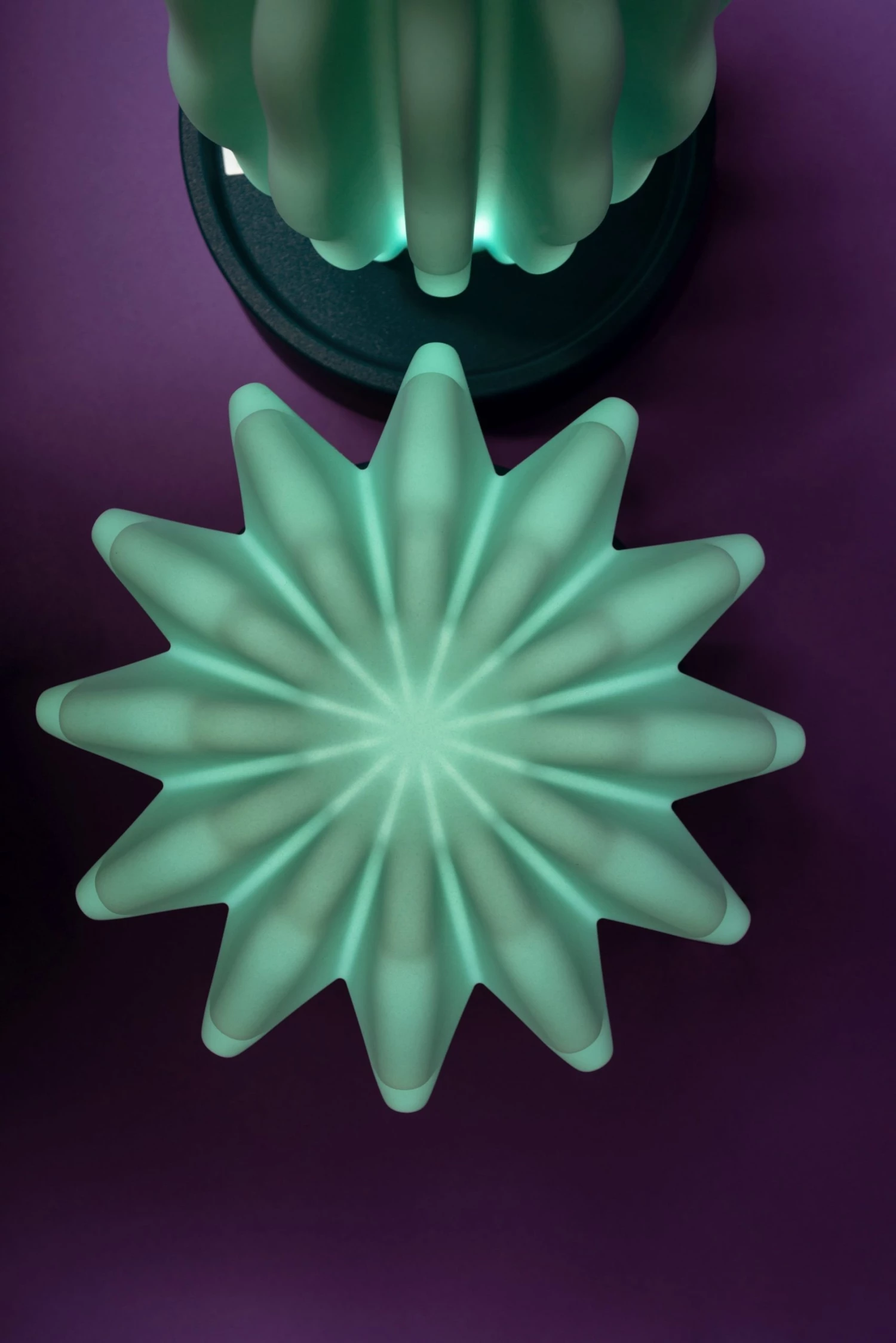 Serralunga Cactus Long With Light Gifts