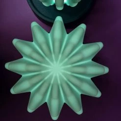 Serralunga Cactus Large With Light Gifts