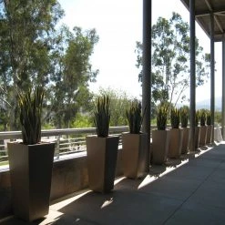 Serralunga Kabin Family