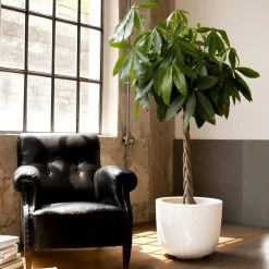 Serralunga Contract & Garden Pots Cup