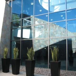 Serralunga Kabin Family