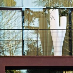 Serralunga Missed Tree