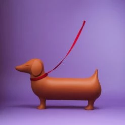 Serralunga Otto Gifts