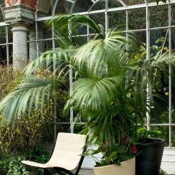 Serralunga Contract & Garden Pots Pisa