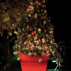 Serralunga Bordato Liscio With Light Contract & Garden Pots