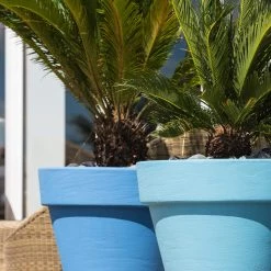 Serralunga Bordato Liscio