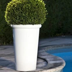 Serralunga Contract & Garden Pots Camelia