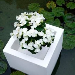 Serralunga Cubotti Contract & Garden Pots