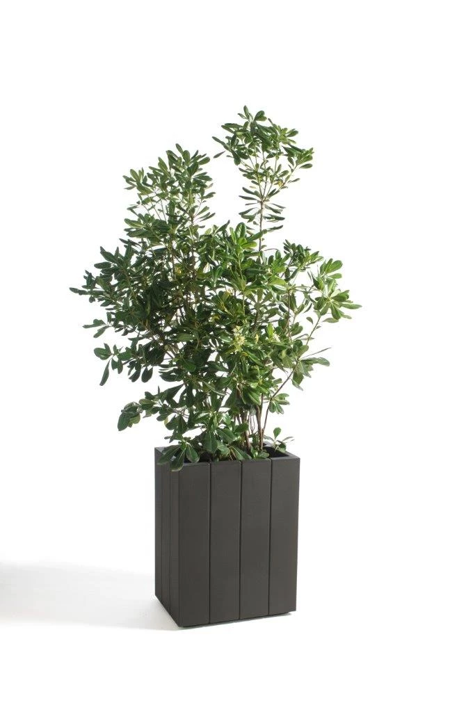 Serralunga Contract & Garden Pots Fence E Fence Small