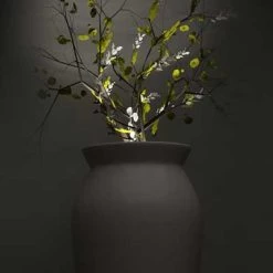 Serralunga June With Light