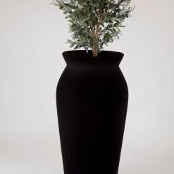 Serralunga June With Light