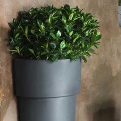 Serralunga Contract & Garden Pots Marcantonio Au Mur