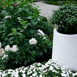 Serralunga Memory Pot Contract & Garden Pots