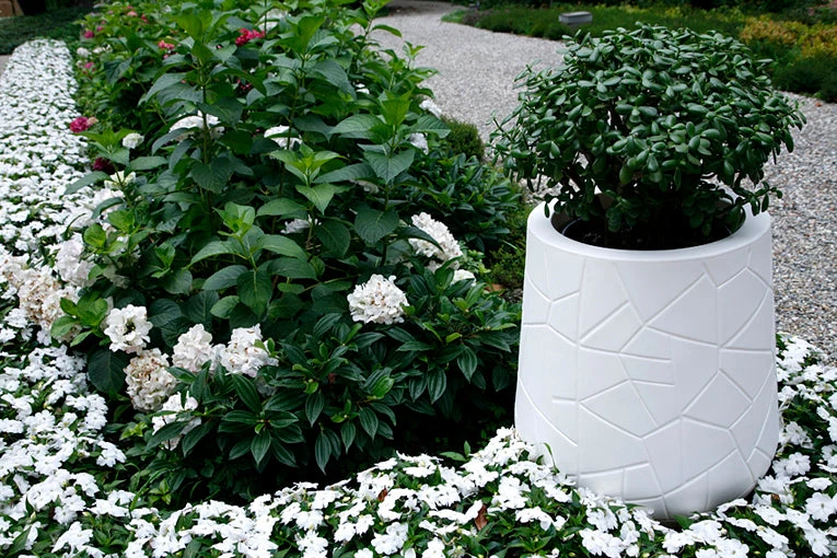 Serralunga Memory Pot Contract & Garden Pots