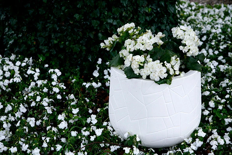 Serralunga Memory Pot Contract & Garden Pots