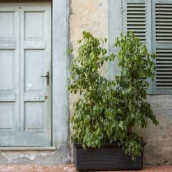 Serralunga Millerighe Rettangolare