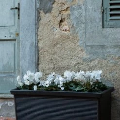 Serralunga Millerighe Rettangolare