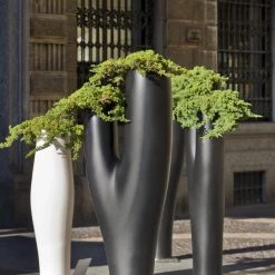 Serralunga Missed Tree