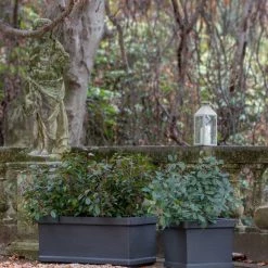 Serralunga Neoclassic Cassetta Liscia Contract & Garden Pots