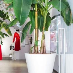 Serralunga New Pot Family