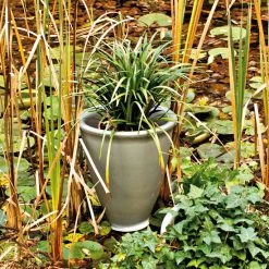 Serralunga Art Santavase