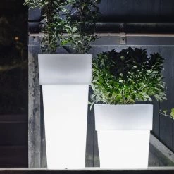 Serralunga Torre With Light