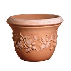 Serralunga Uva Spina